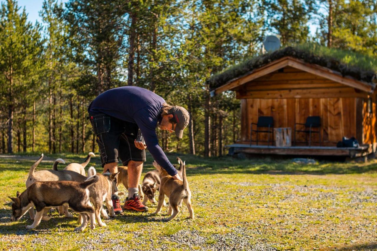 Jotunheimen Husky Lodge Randsverk Экстерьер фото