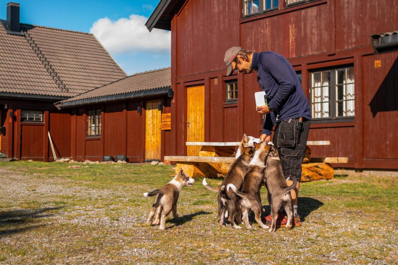 Jotunheimen Husky Lodge Randsverk Экстерьер фото