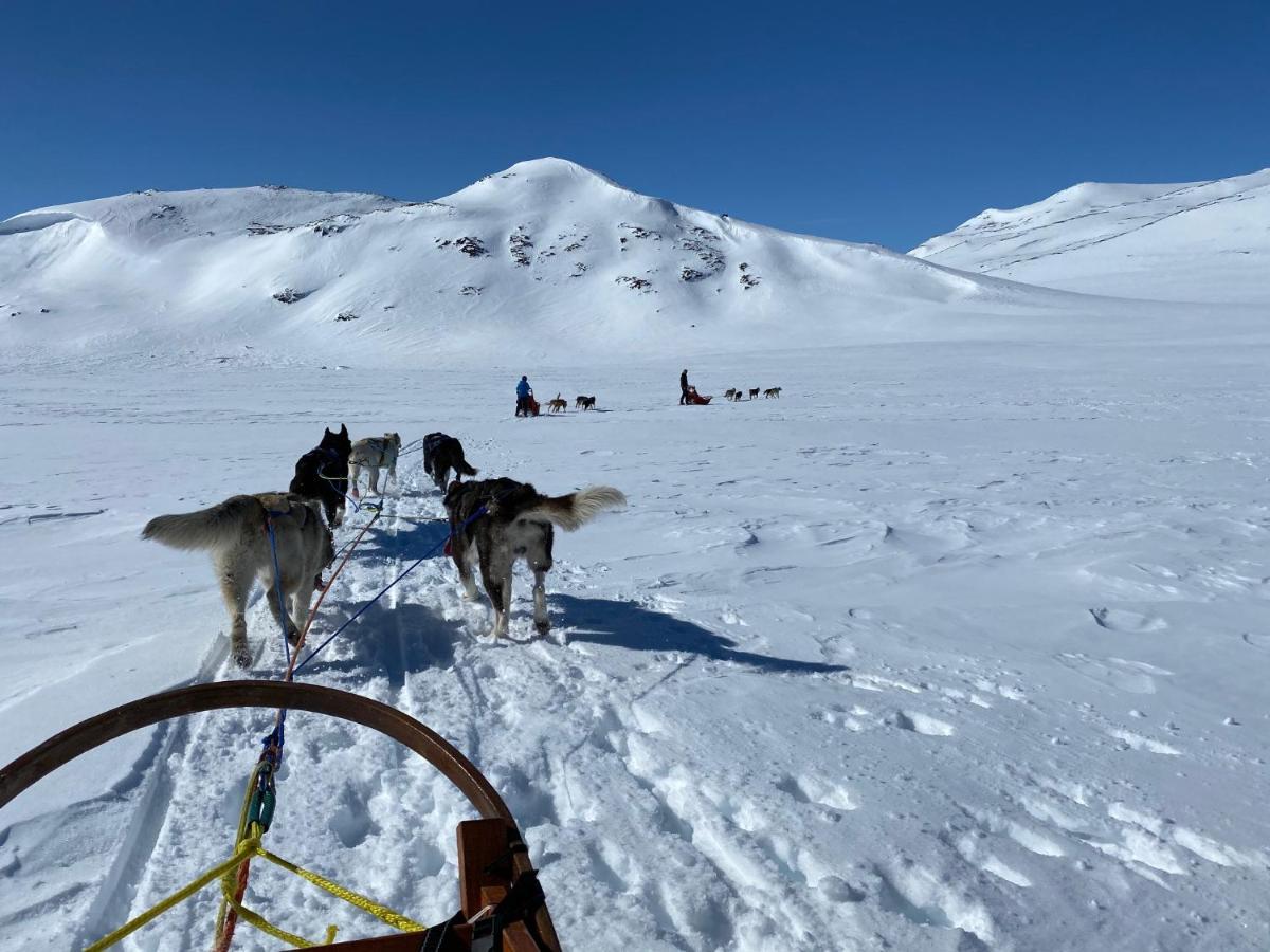 Jotunheimen Husky Lodge Randsverk Экстерьер фото